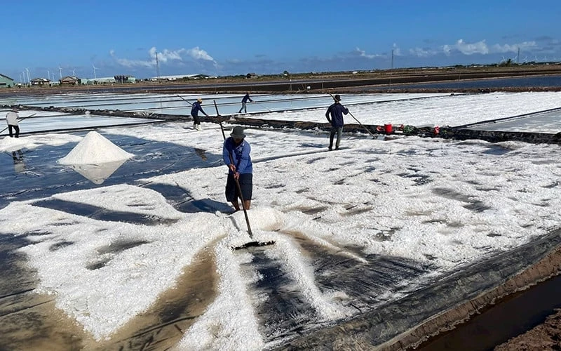 Muối Hạt Bạc Liêu Chuẩn OCOP Quốc Gia