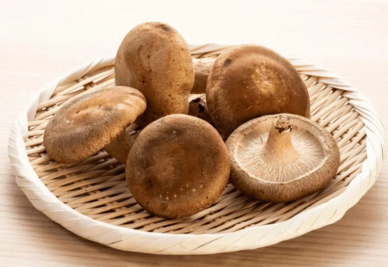 Nấm hương Hỗ trợ tim mạch và điều hòa cholesterol