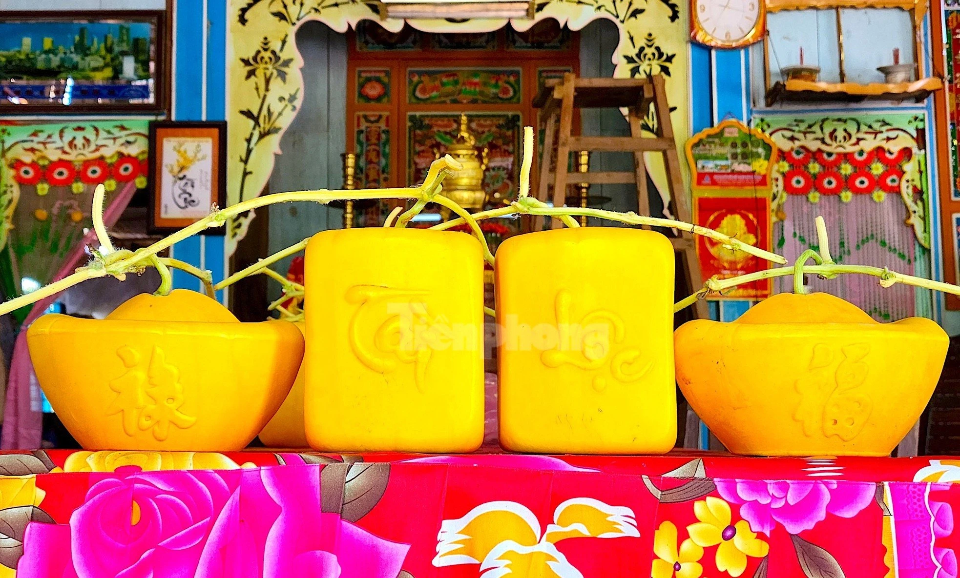 Dưa hấu thỏi vàng thể hiện lòng hiếu kính