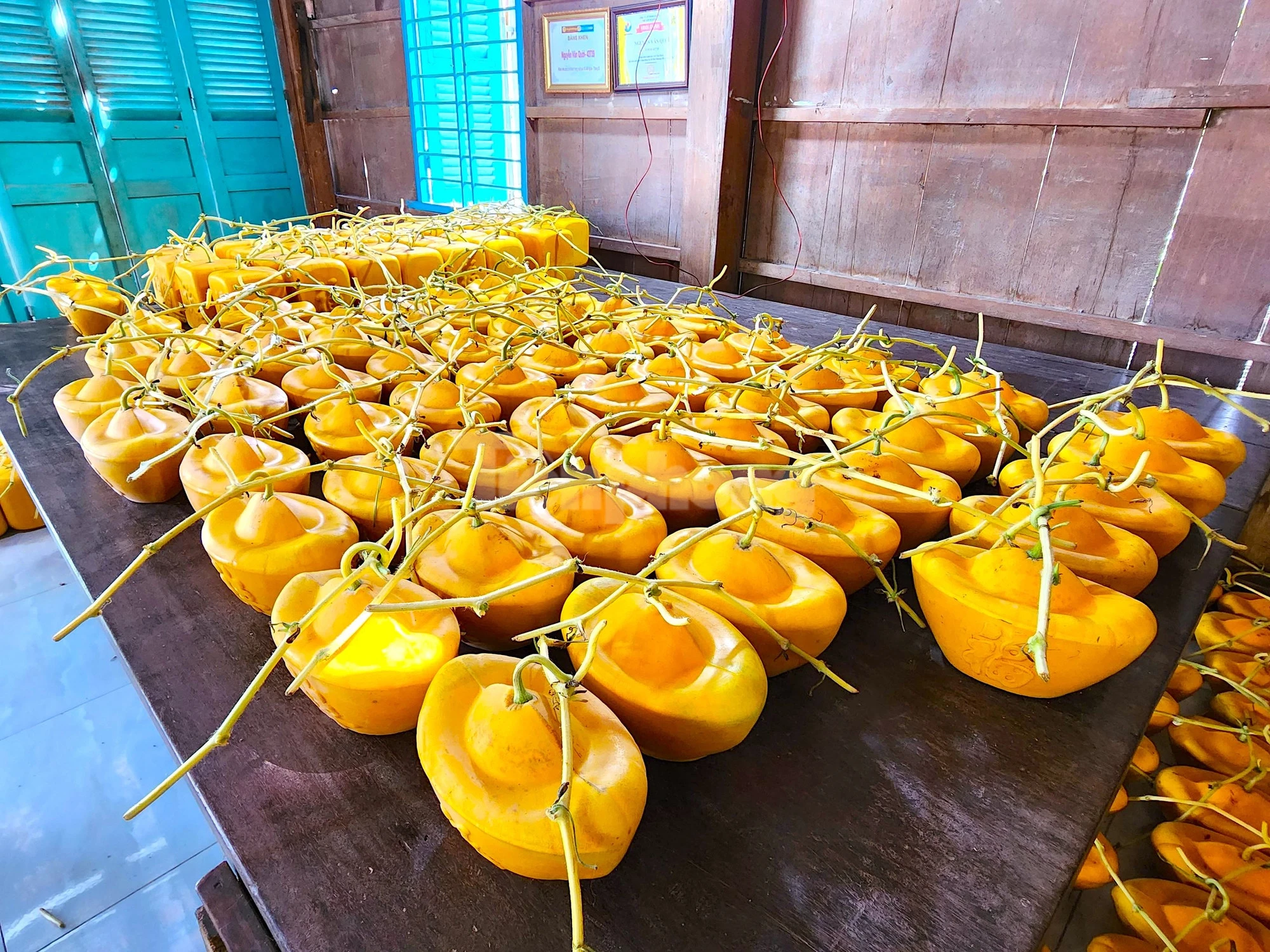 Dưa hấu thỏi vàng giúp ga chủ tránh hao tài