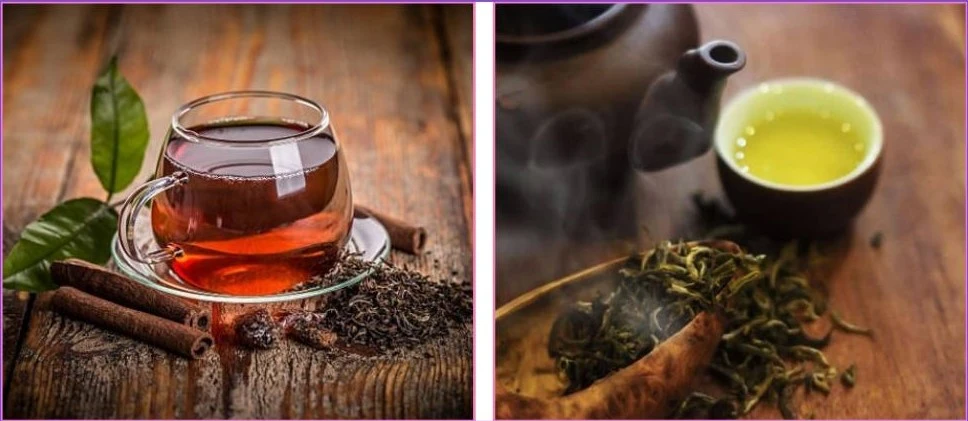 Trà Phìn Hồ – Tinh hoa OCOP 5 sao từ Hà Giang