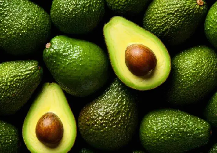 Bơ – Chất béo tốt, ít calo đánh tan nỗi lo “béo phì”