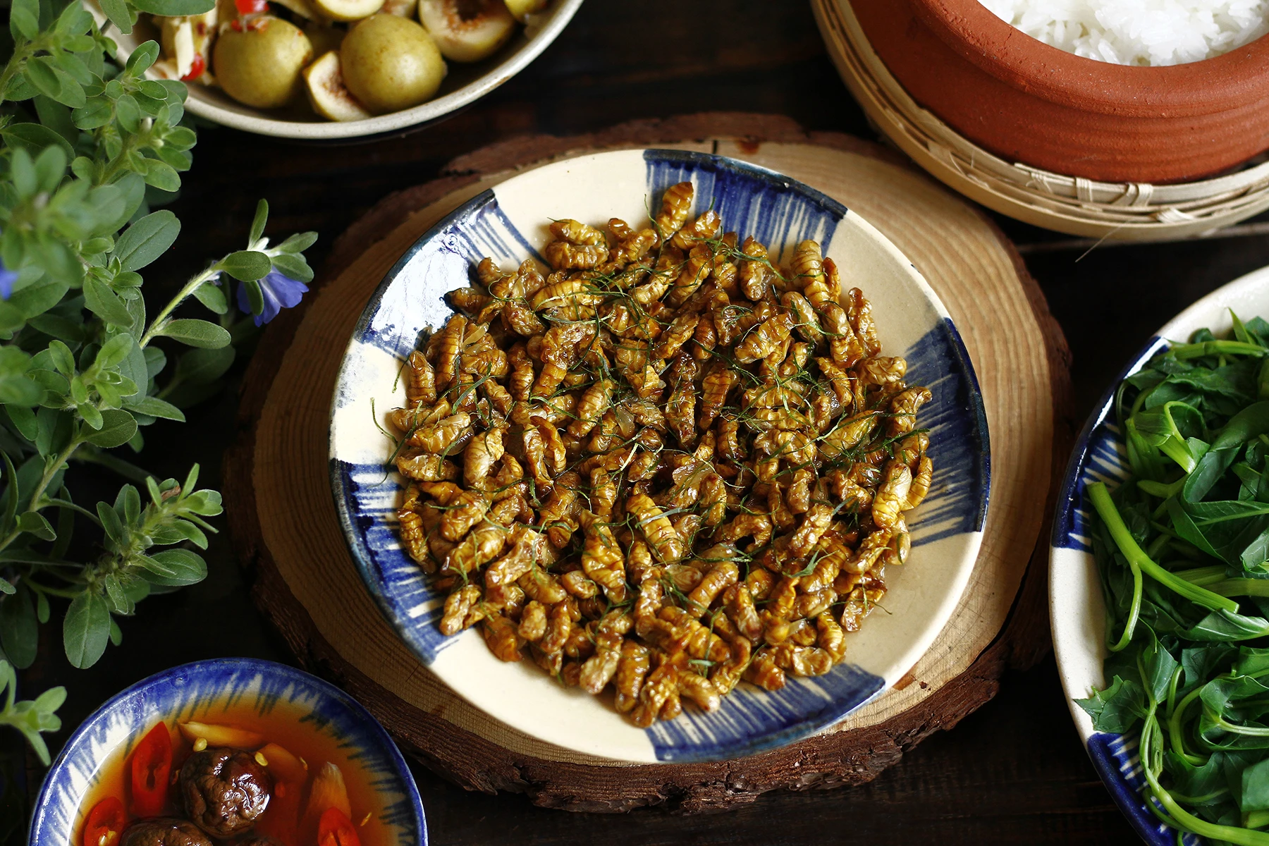 Một số lưu ý quan trọng khi sử dụng nhộng tằm