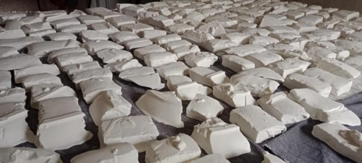 tinh bột của sen