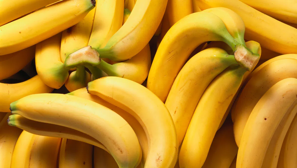 Lợi ích của chuối
