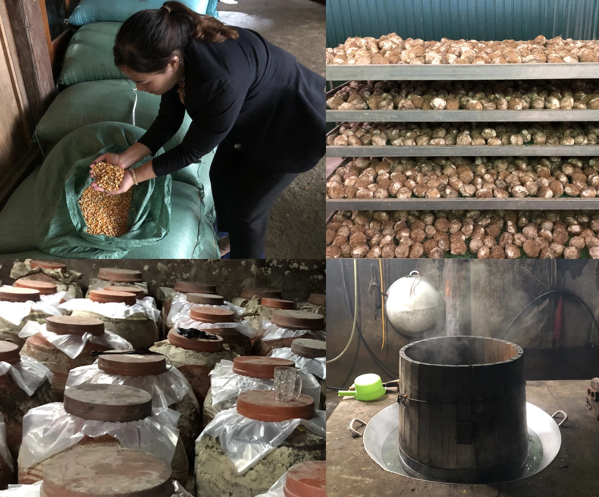 Quy trình sản xuất rượu ngô men lá Na Hang