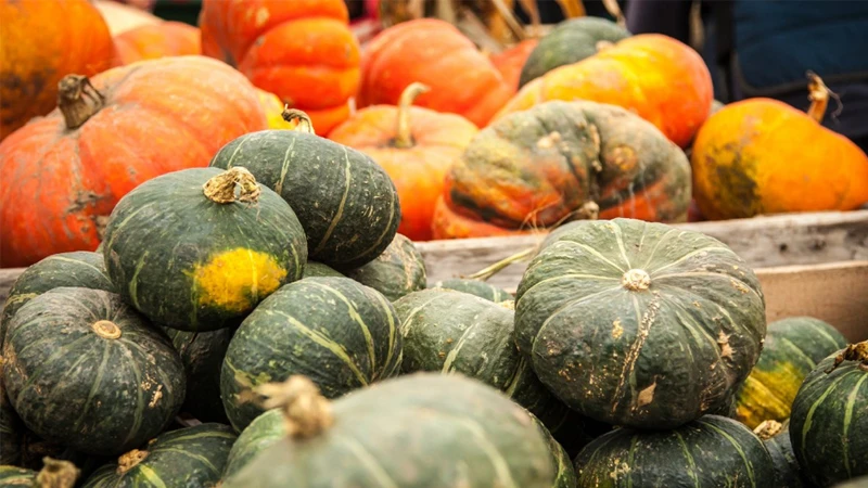 Lợi Ích Của Bí Ngô