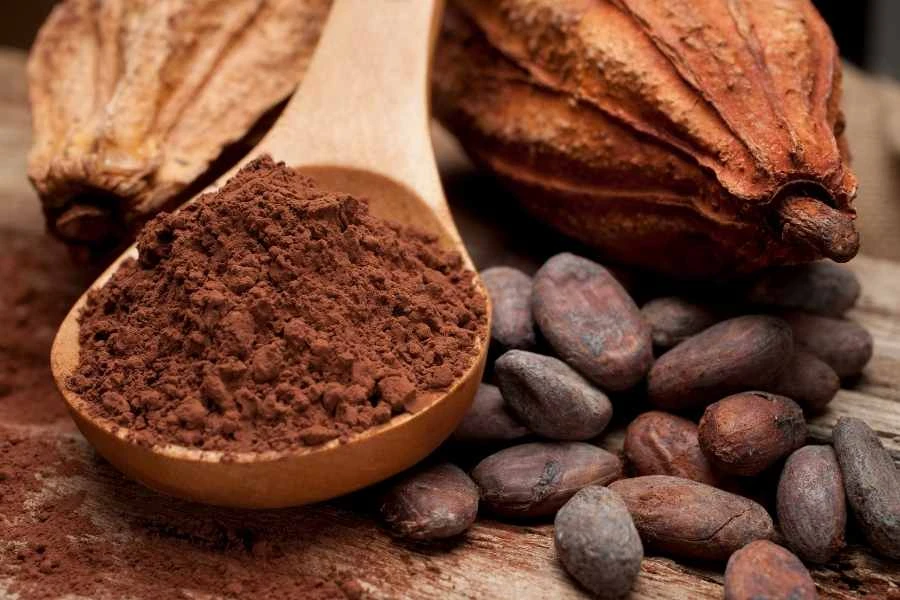Những công dụng bất ngờ từ bột cacao