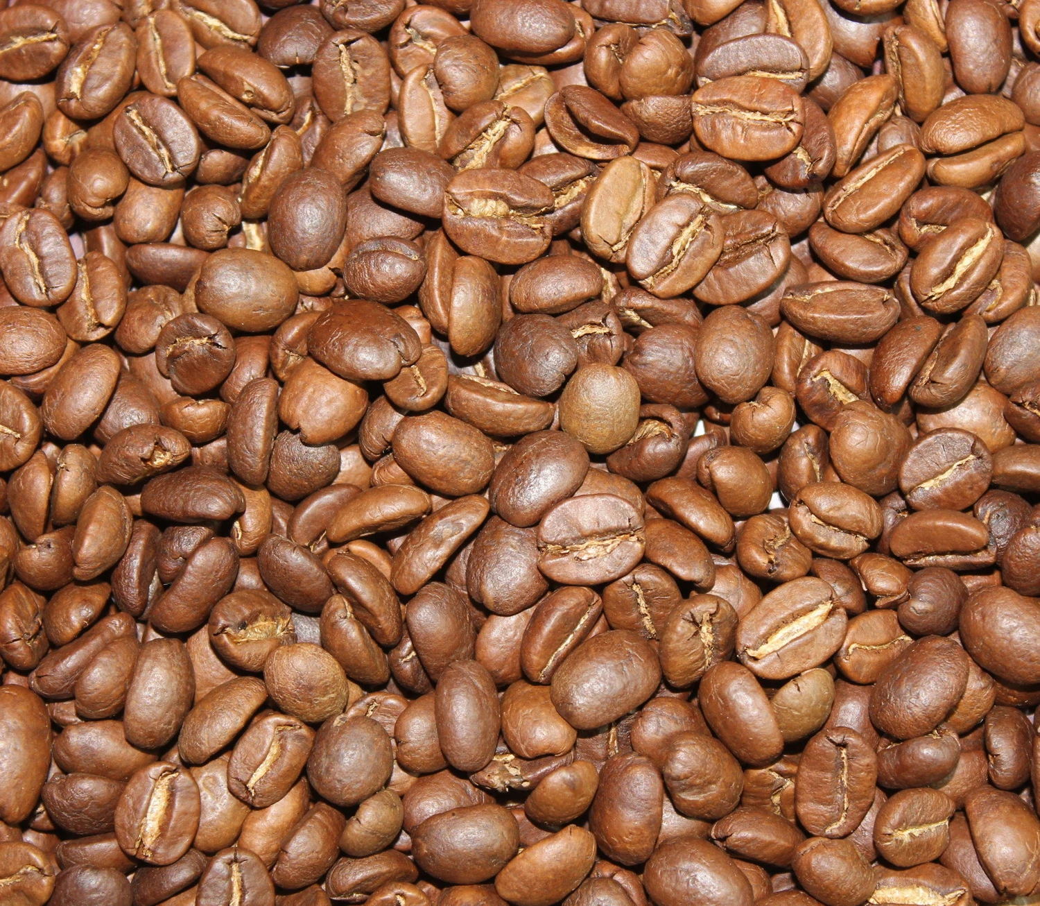 Cà Phê Chồn Đắk Lắk – Tinh Hoa OCOP 5 Sao Việt Nam