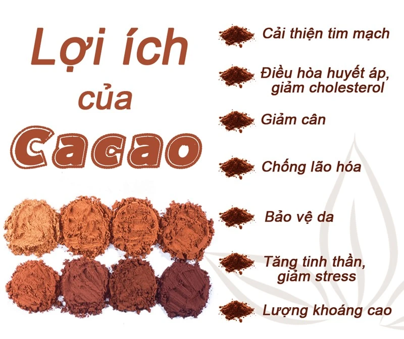 Bột Cacao Trọng Đức – Thương Hiệu Đồng Nai Đạt OCOP 5 Sao Quốc Gia