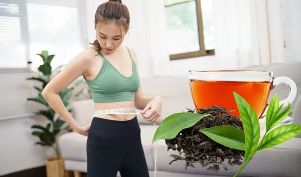 Đinh Trà Thái Nguyên – Tinh hoa trà Việt được công nhận OCOP 2025