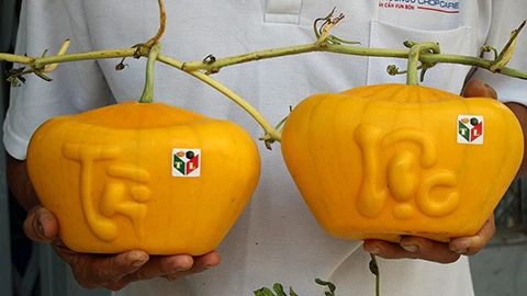 Dưa hấu thỏi vàng biểu tượng của tài lộc