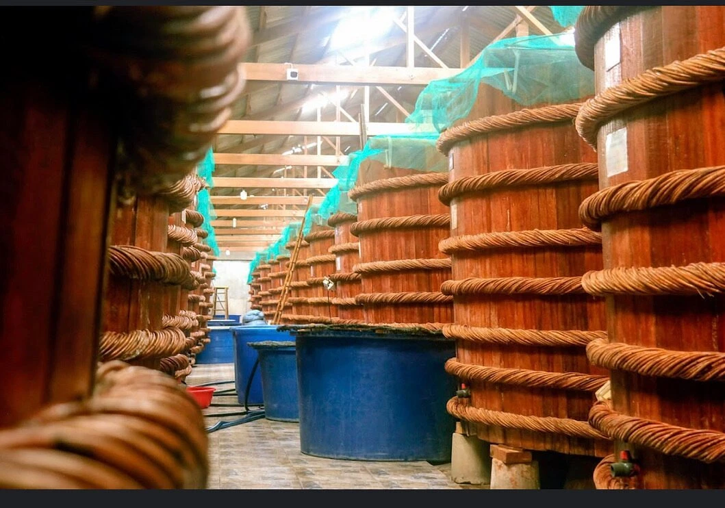 Nước mắm Phú Quốc Huỳnh Khoa: Quy trình sản xuất chuẩn quốc tế – giữ hồn truyền thống