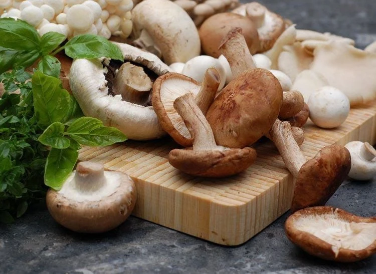 Giá trị quý của nấm hương