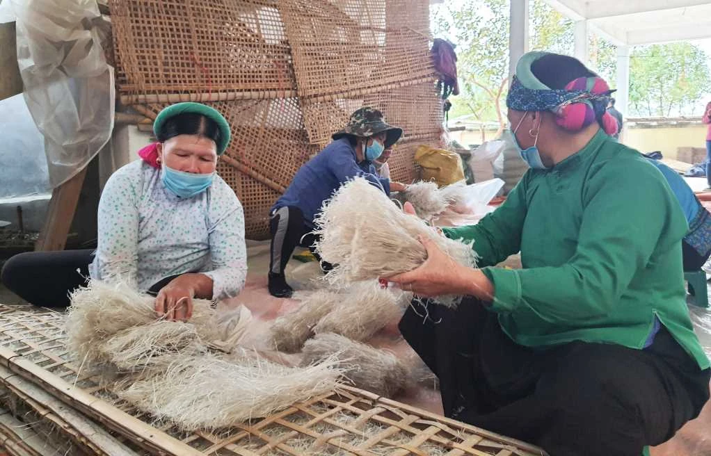 Miến dong Bình Liêu – Hương vị nguyên bản đạt chuẩn OCOP 5 sao