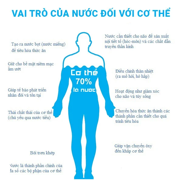 lợi ích uống đủ nước