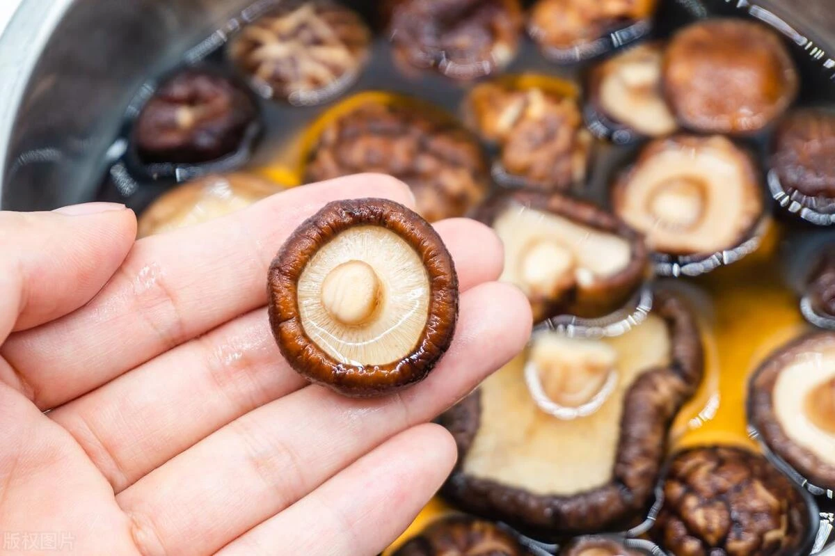 Đa dạng món ăn với nấm hương