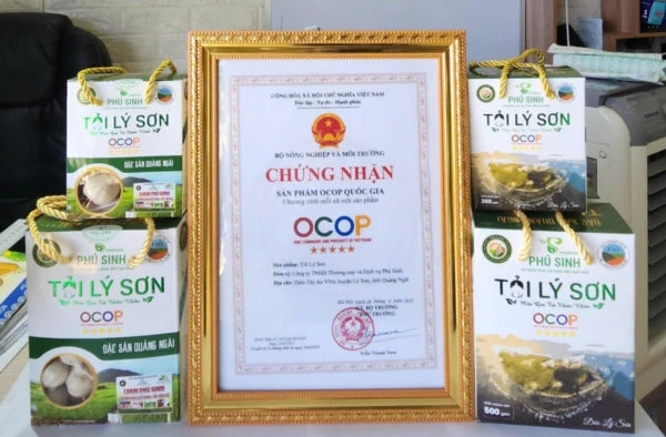 Tỏi Lý Sơn – Tinh Hoa Quảng Ngãi Đạt OCOP 5 Sao