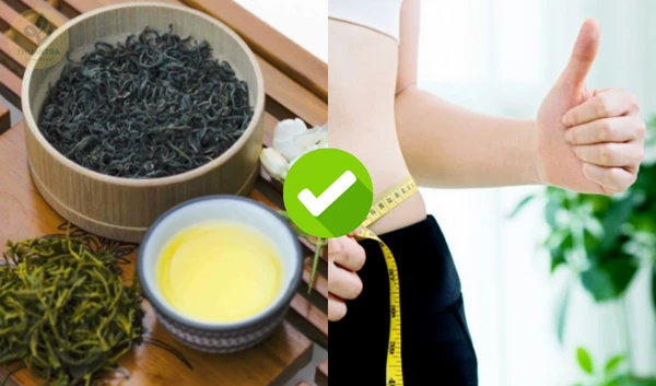 Trà Tôm Nõn Hương Quê Thái Nguyên – OCOP 5 Sao Quốc Gia, Niềm Tự Hào Đất Trà Việt