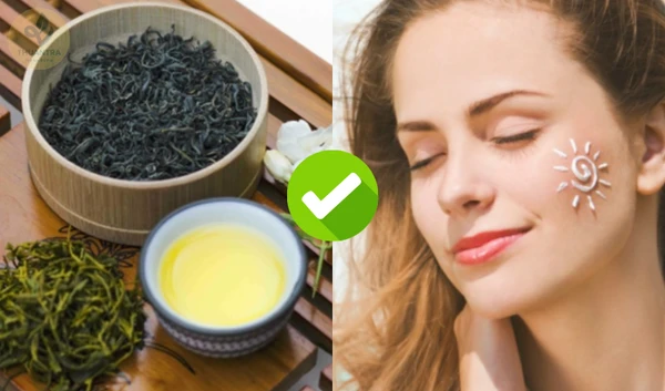 Trà Tôm Nõn Hương Quê Thái Nguyên – OCOP 5 Sao Quốc Gia, Niềm Tự Hào Đất Trà Việt