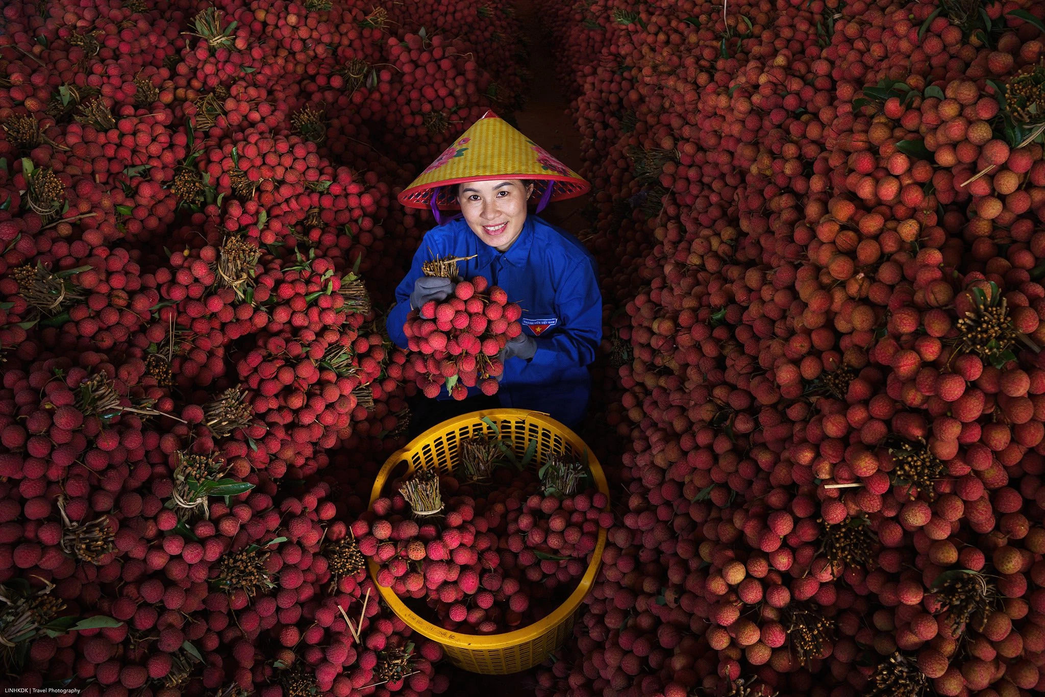vải thiều Bắc Giang