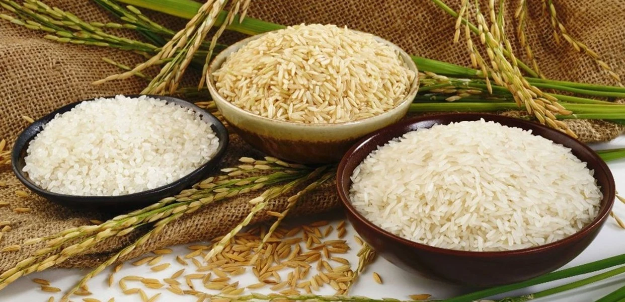 Gạo sạch – hạt ngọc của đất trời