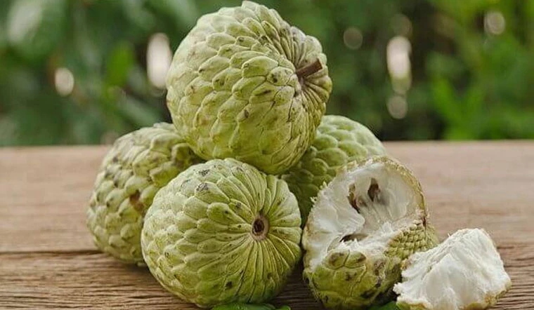 Na Bở – sản phẩm OCOP 3 sao Hải Phòng